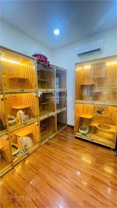 🏡 Bán nhà HXH 5m 3/2, Q.10, cho thuê tốt, 7.x tỷ! - Ảnh chính